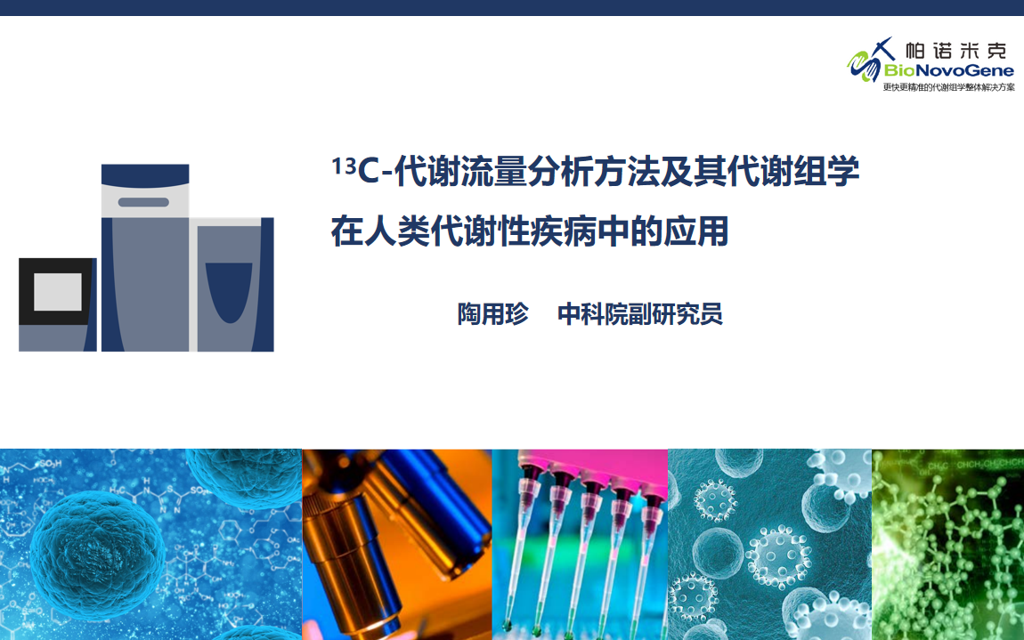 诺米代谢第12期13C代谢流量分析方法及其代谢组学在人类代谢性疾病中的应用哔哩哔哩bilibili