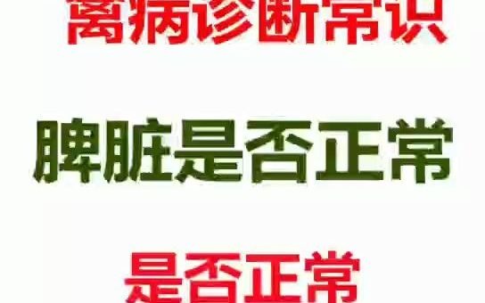 家禽解剖教程观察脾脏是否正常竖版哔哩哔哩bilibili