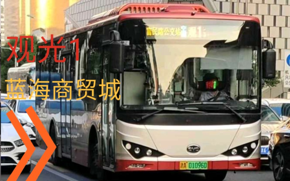 【津·pov·3】【1月11&观光1】【冷门大线终将陨落】天津公交观光1路