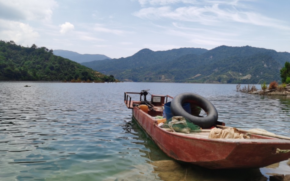 炎炎夏日 划船出行