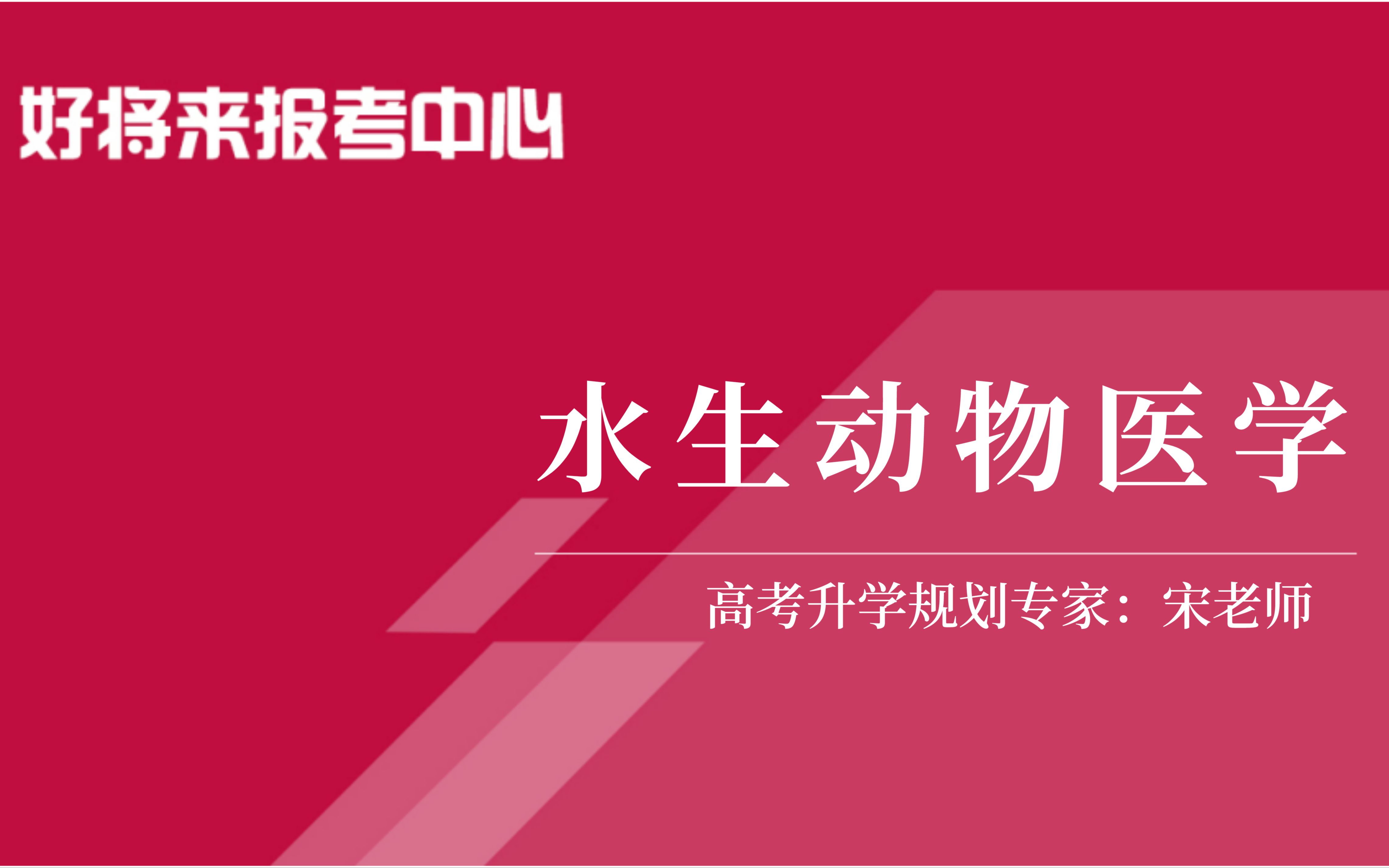 《水生动物医学》专业解读哔哩哔哩bilibili