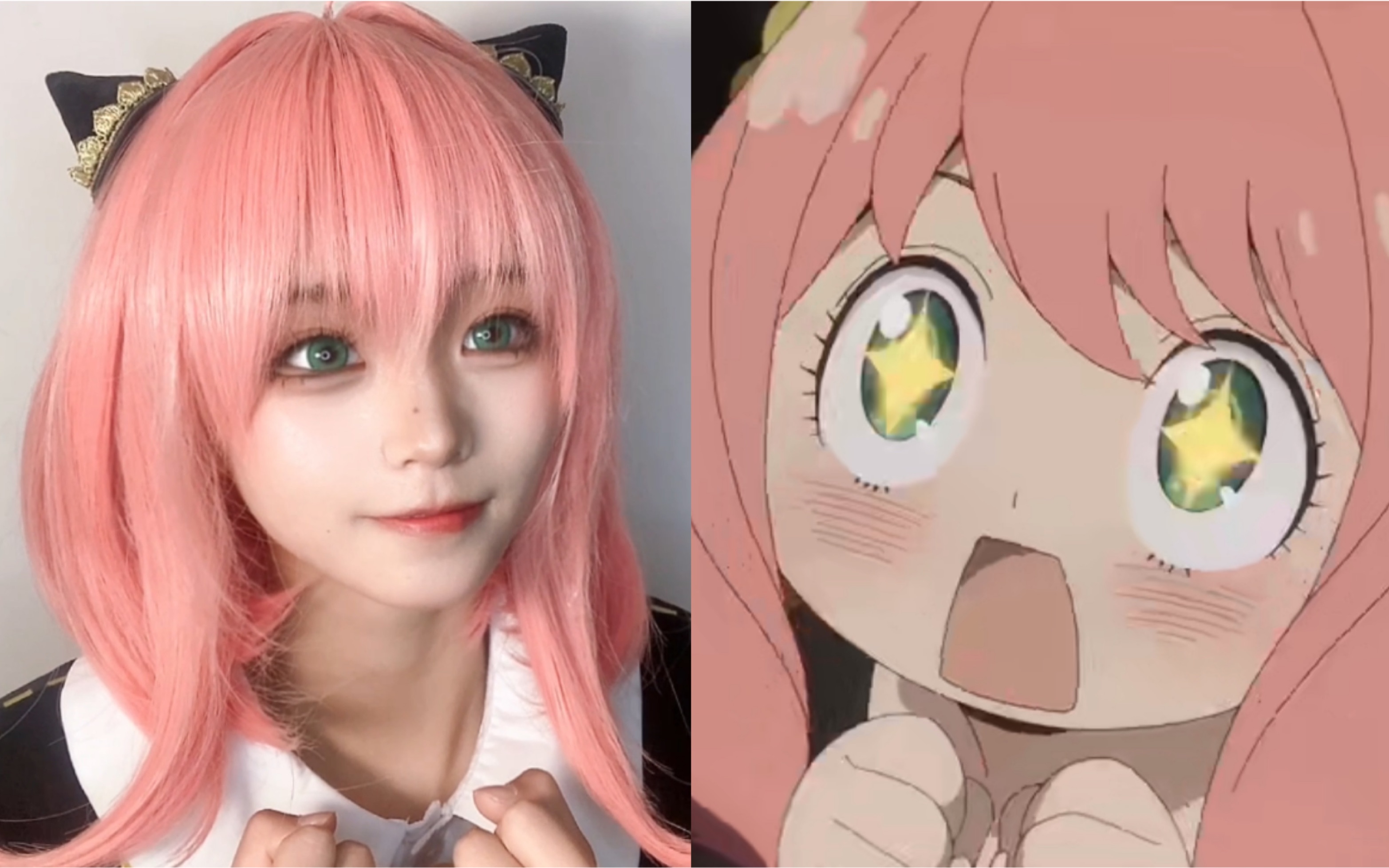 活动作品间谍过家家阿尼亚wakuwaku