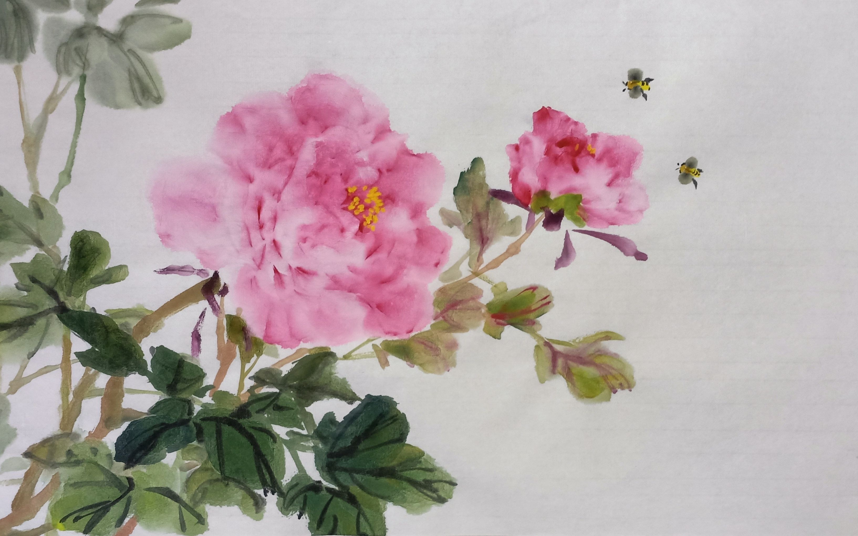 小写意牡丹春暖日晴