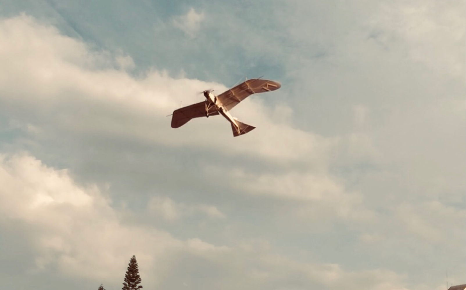 taubemonoplane自制鸽式战斗机航模飞行视频