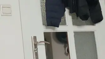 怎么好好一个门没玻璃了，突然一个狗头“叫我什么事”，网友：好像知道为什么没有了