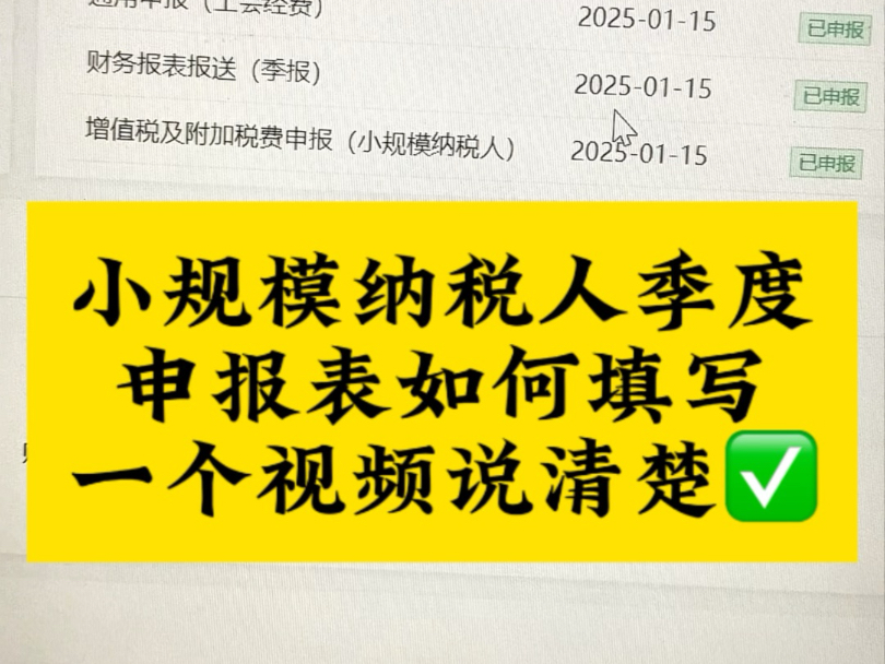 小规模纳税人季度申报表如何填写哔哩哔哩bilibili