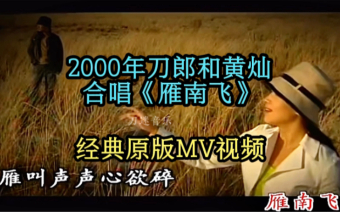 2000年刀郎与黄灿合唱《雁南飞》经典原版MV,天籁之音,沁人心脾哔哩哔哩bilibili