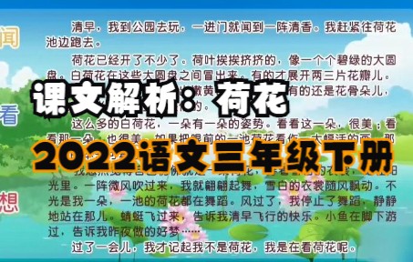 语文2022人教版三年级下:第一单元(3)荷花:课文赏析哔哩哔哩bilibili