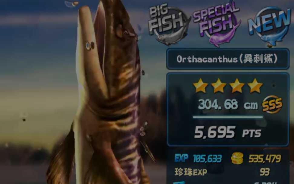 钓鱼发烧友 漂亮的异刺鲨