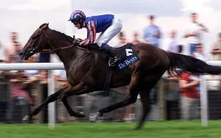 英皇锦标 搜索结果 哔哩哔哩 Bilibili