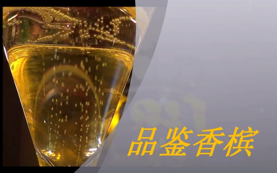 [图]【葡萄酒品鉴】 怎样品鉴香槟 (中文字幕)