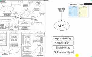 Download Video: 16S分析R包MicrobiotaProcess