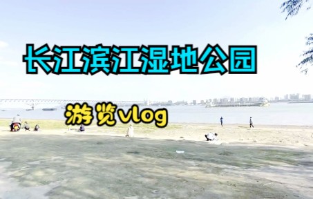 滨江湿地公园vlog宣传片哔哩哔哩bilibili