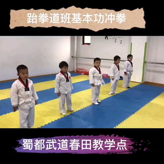 幼儿跆拳道哔哩哔哩bilibili