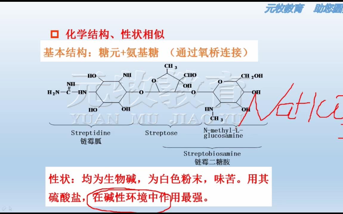 【执业兽医】兽医药理学——氨基糖苷类知识讲解哔哩哔哩bilibili