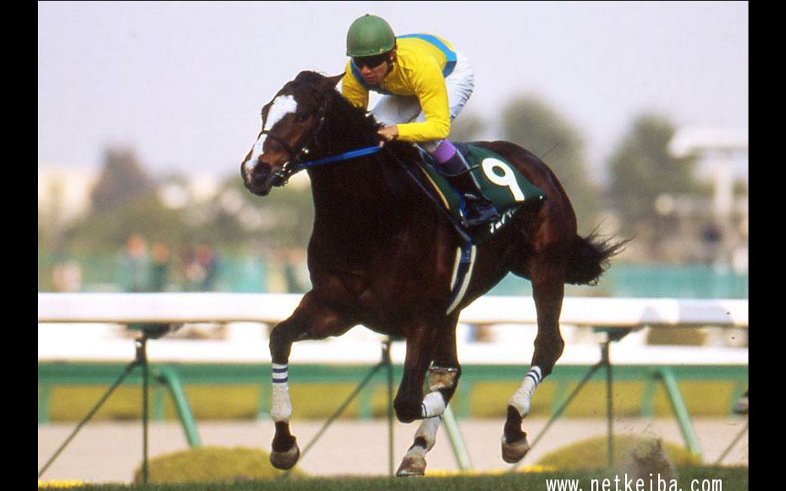 【赛马】2002年经典三冠|皋月赏,日本达比,菊花赏【莫名其妙/谷水琴酒