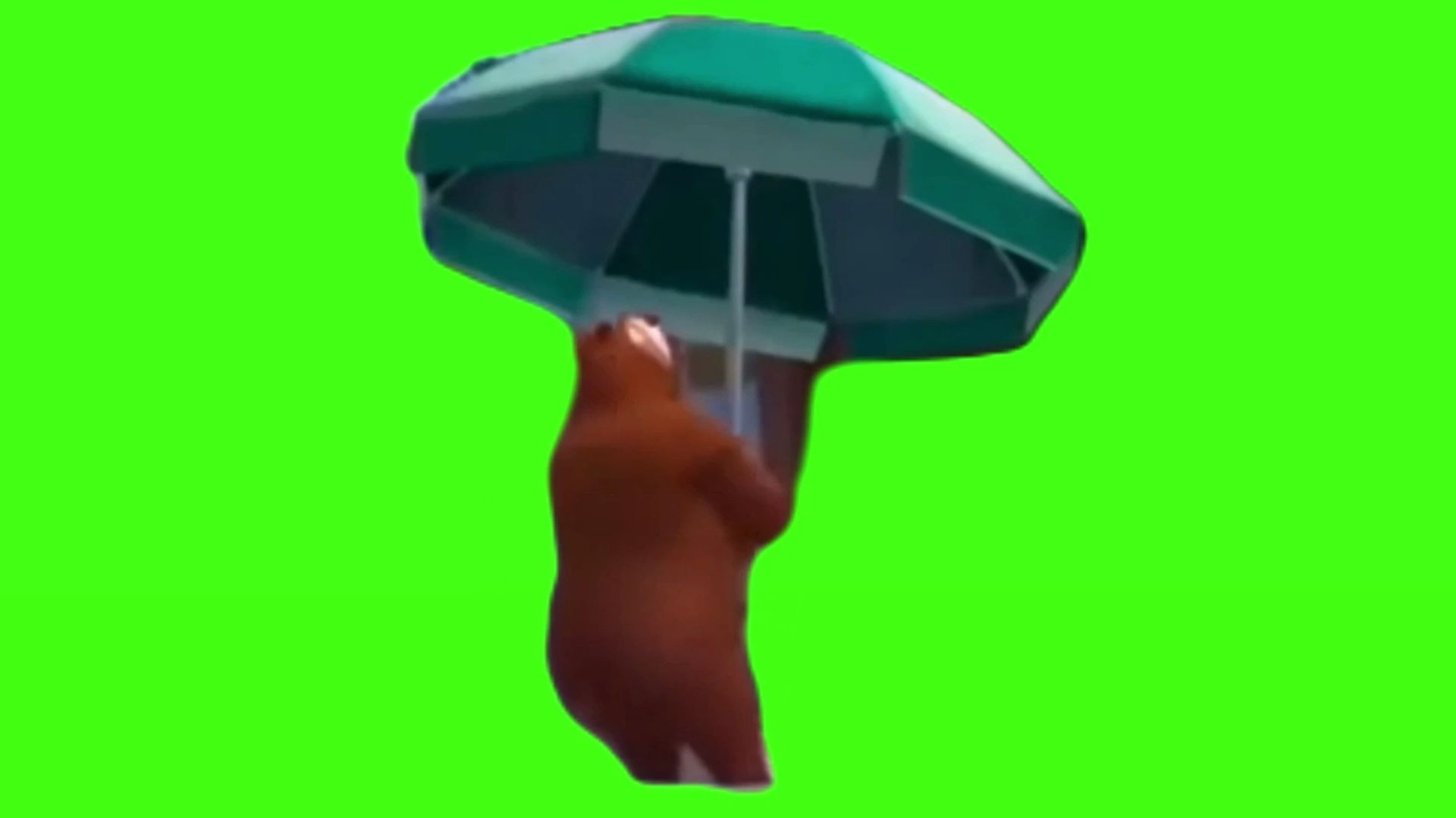 练习舞蹈的熊大