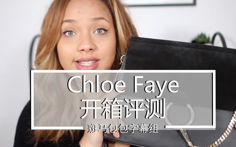 蔻依Chloe faye开箱 内含Faye上身对比图希望能对你有所帮助.哔哩哔哩bilibili