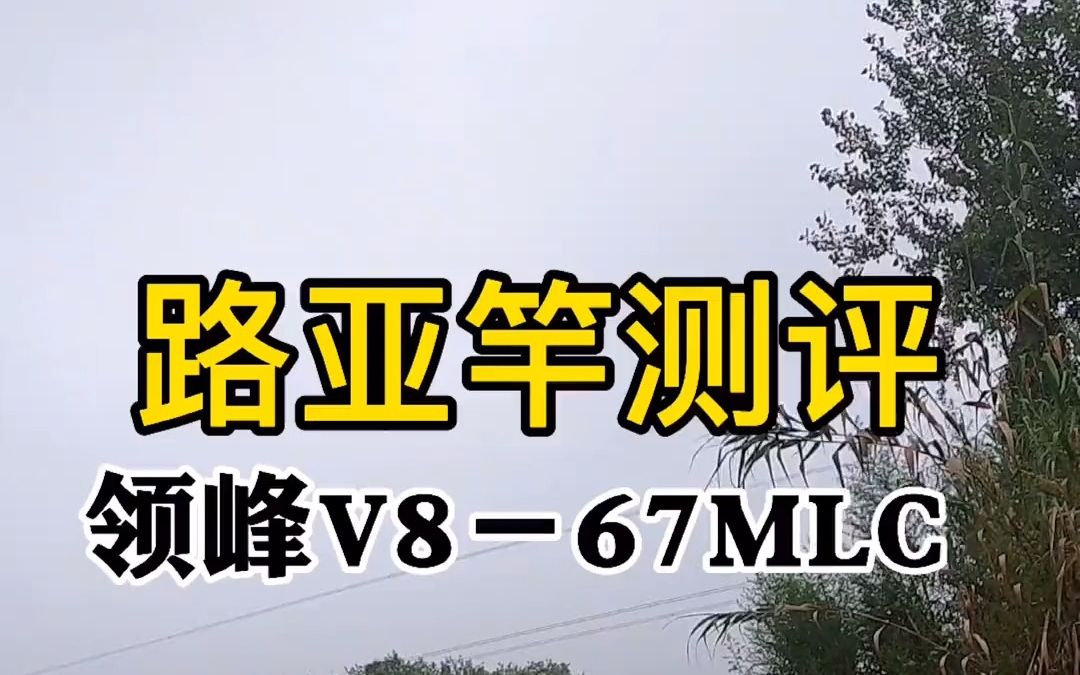 本期测评21款领峰V8独节路亚竿让我们一起来看看国产高端虫竿究竟如何哔哩哔哩bilibili