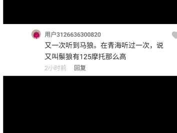 [图]锐评国内UMA马狼