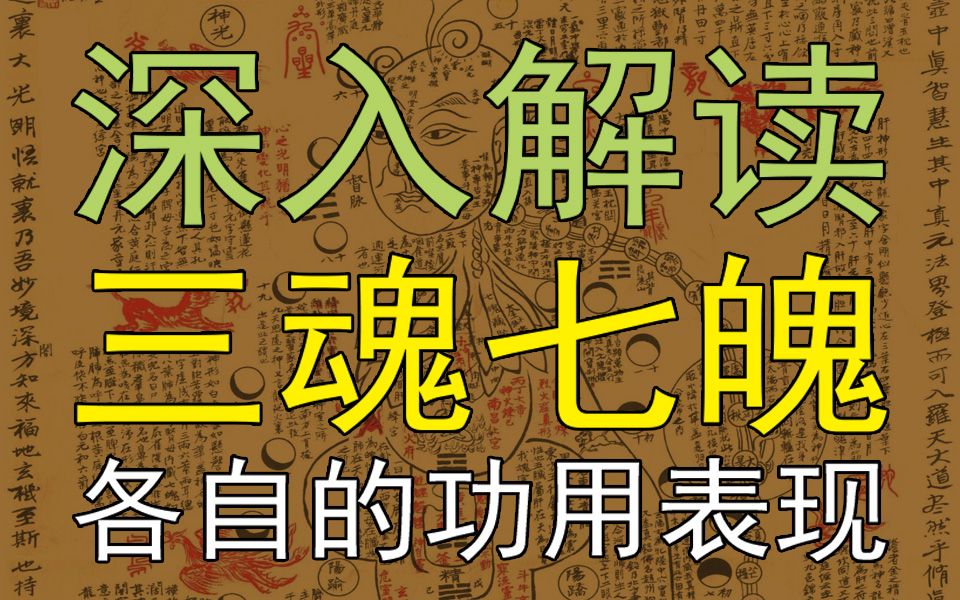 [图]魂魄主导着人的哪些生命活动？中医视角深入解读“三魂七魄”【国学堂梁冬对话徐文兵】