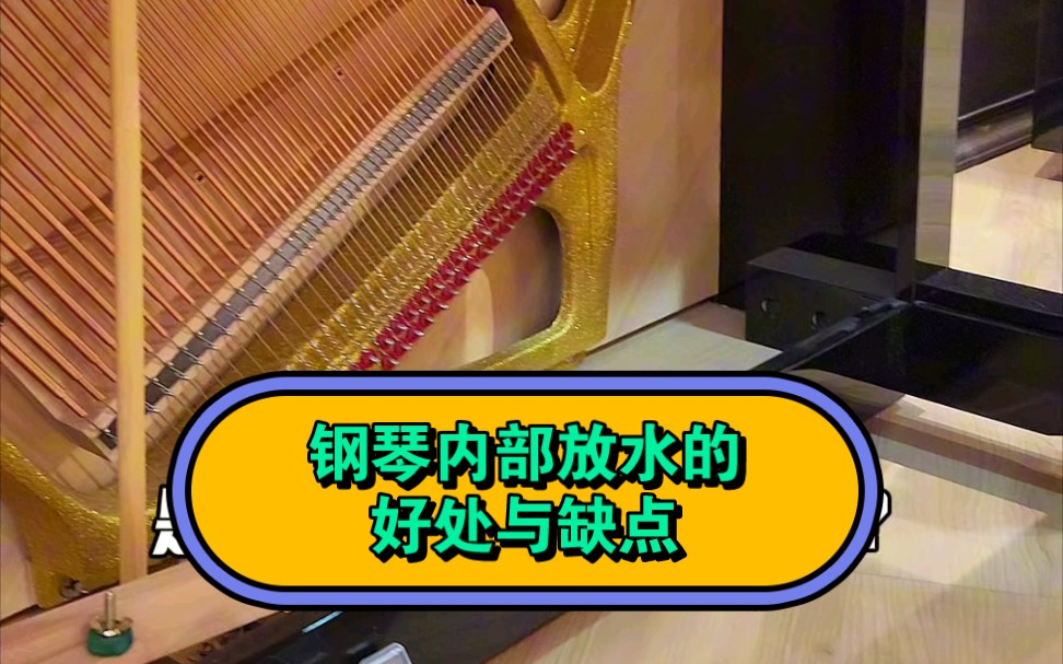 北方气候干燥,钢琴内部要不要放水呢?放水的优劣是什么?哔哩哔哩bilibili