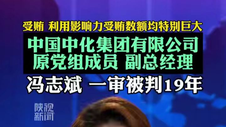 中国中化集团有限公司 原党组成员 副总经理 冯志斌 一审被判19年