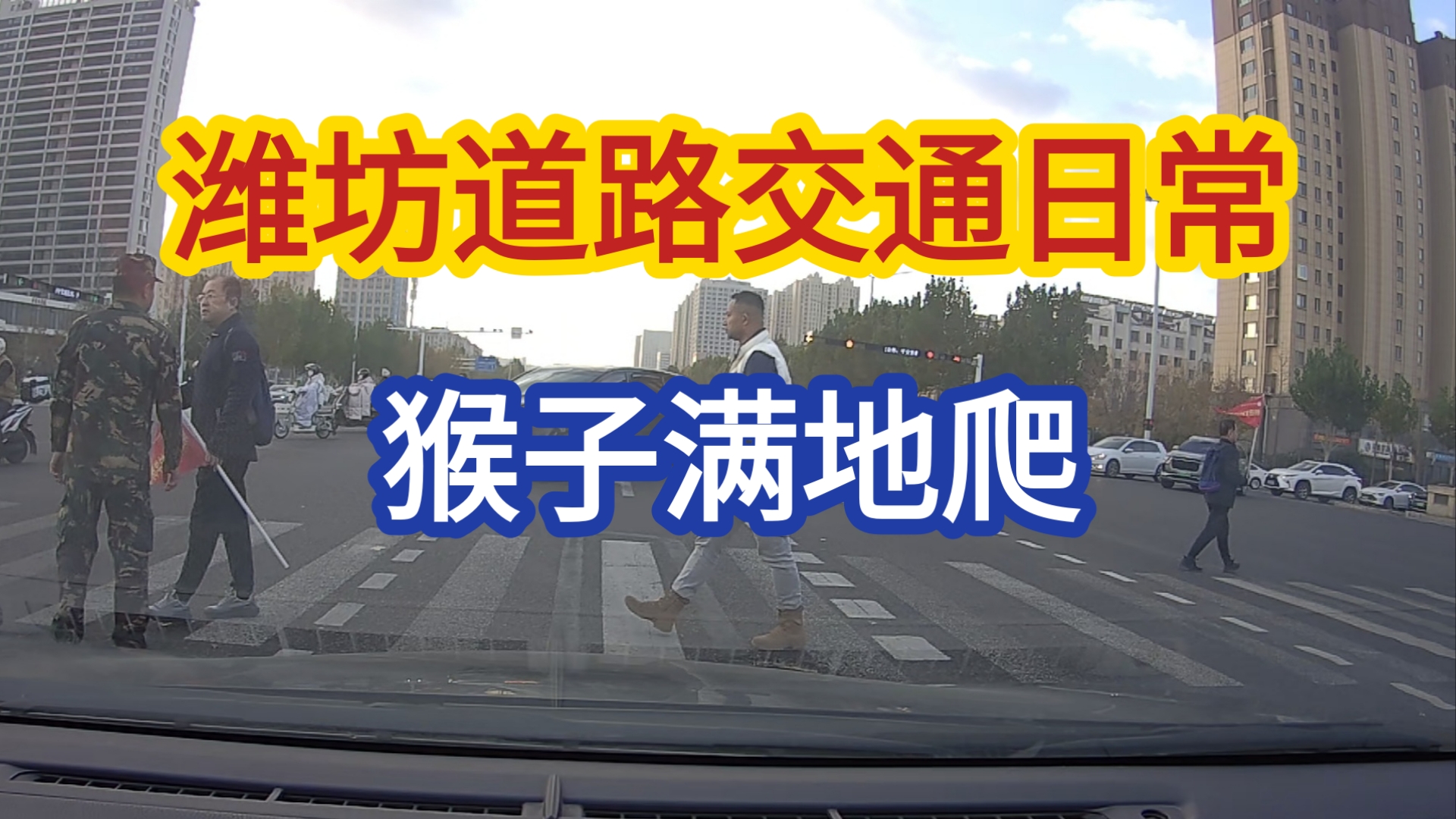 潍坊道路交通日常:猴子满地爬,闯红灯,远光G...只有你想不到的,没有你见不到的.哔哩哔哩bilibili