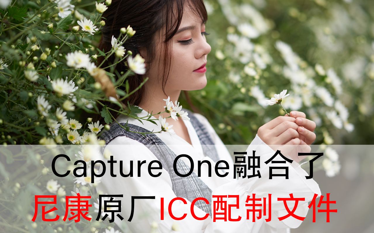 Capture one融合了尼康原厂ICC配制文件哔哩哔哩bilibili