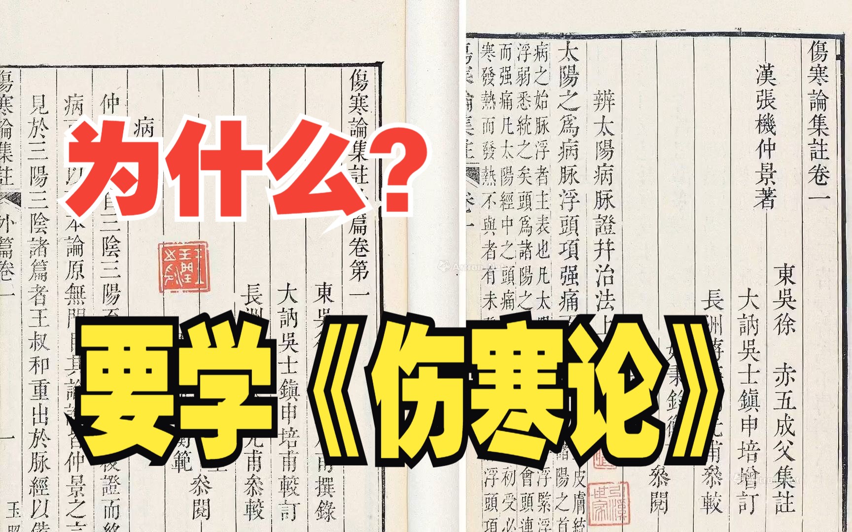 学中医,为什么要学习《伤寒论》?哔哩哔哩bilibili