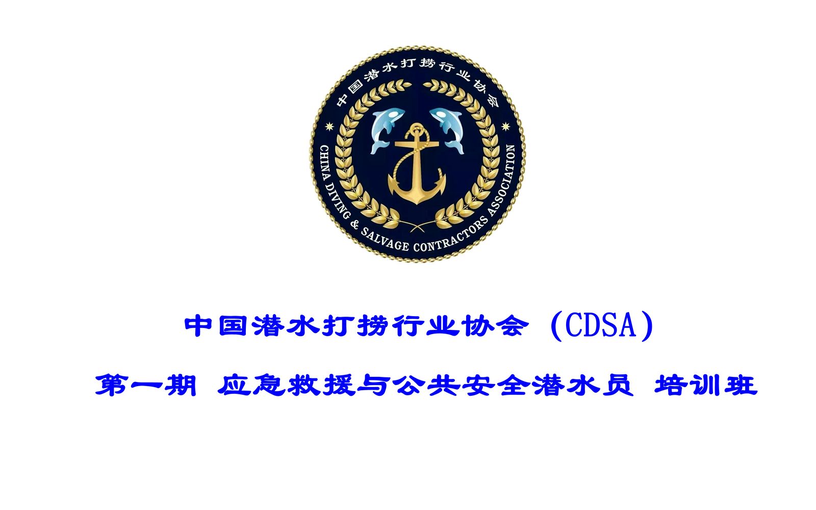 CDSA 中国潜水打捞行业协会 第一期 应急救援与公共安全潜水哔哩哔哩bilibili