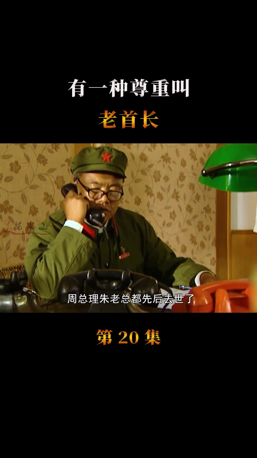 有一种尊重叫老首长好剧推荐经典追剧