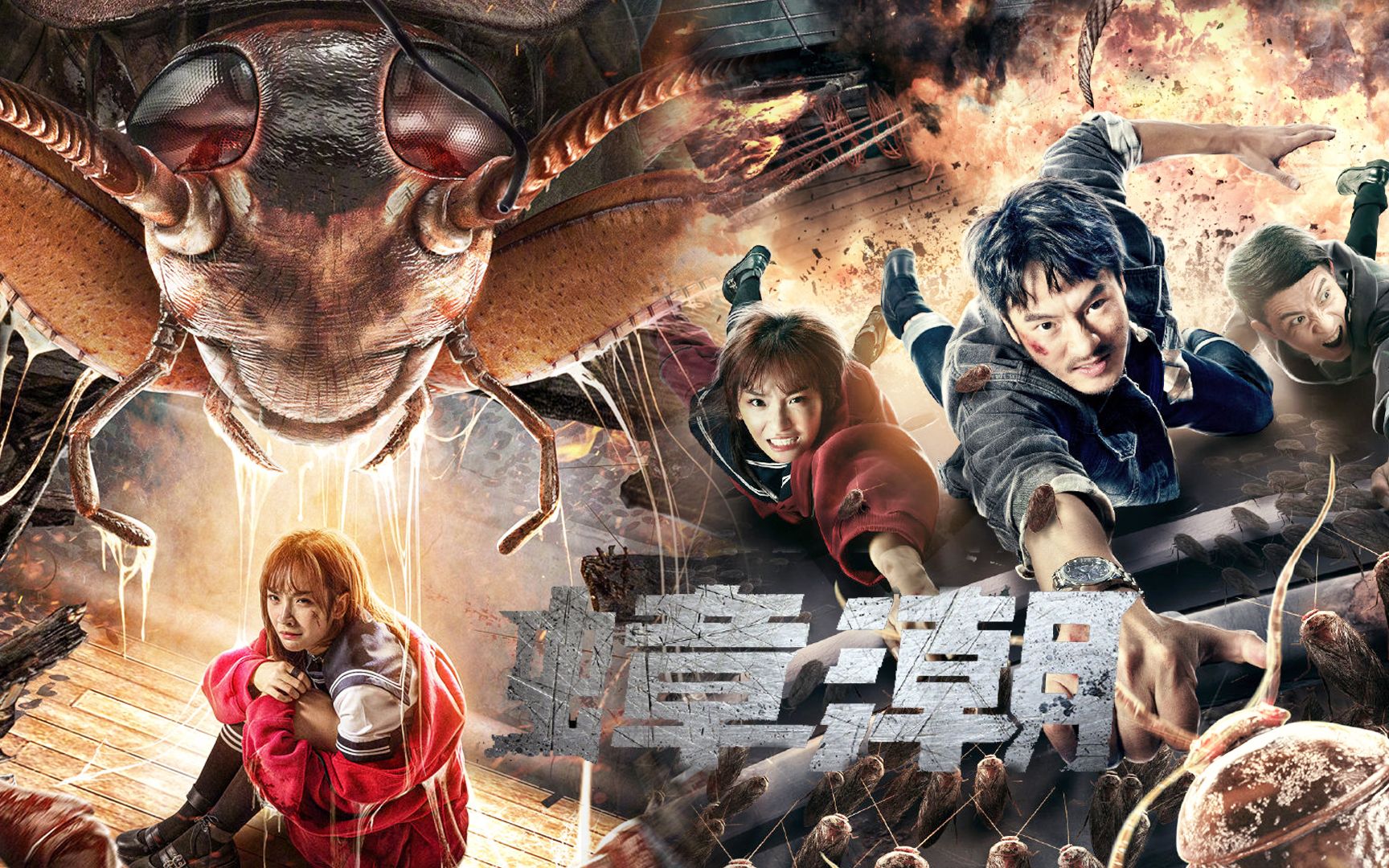 《蟑潮》食品厂卫生不过关,仓库蟑螂成灾