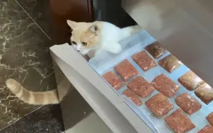 Download Video: 【主食猫饭】三个小时做两周的量！酸爽！