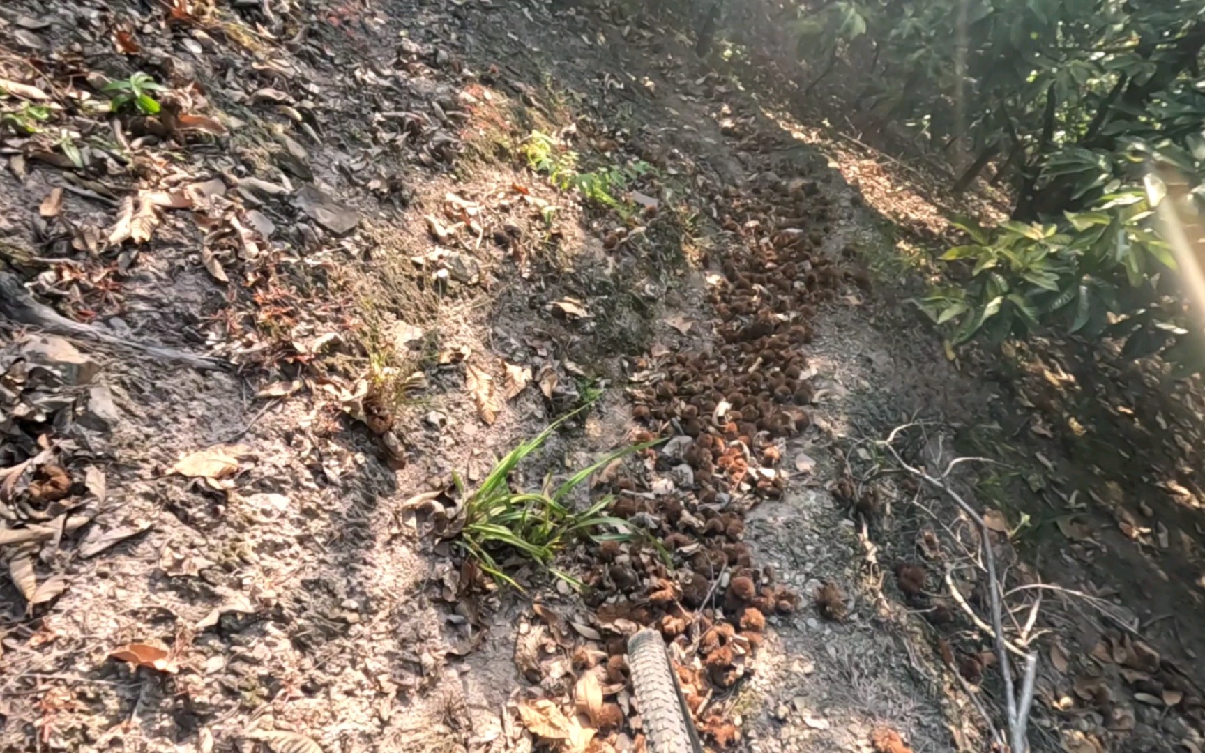 [图]山地车:我都跟你说了这条近路不好走，不好走！