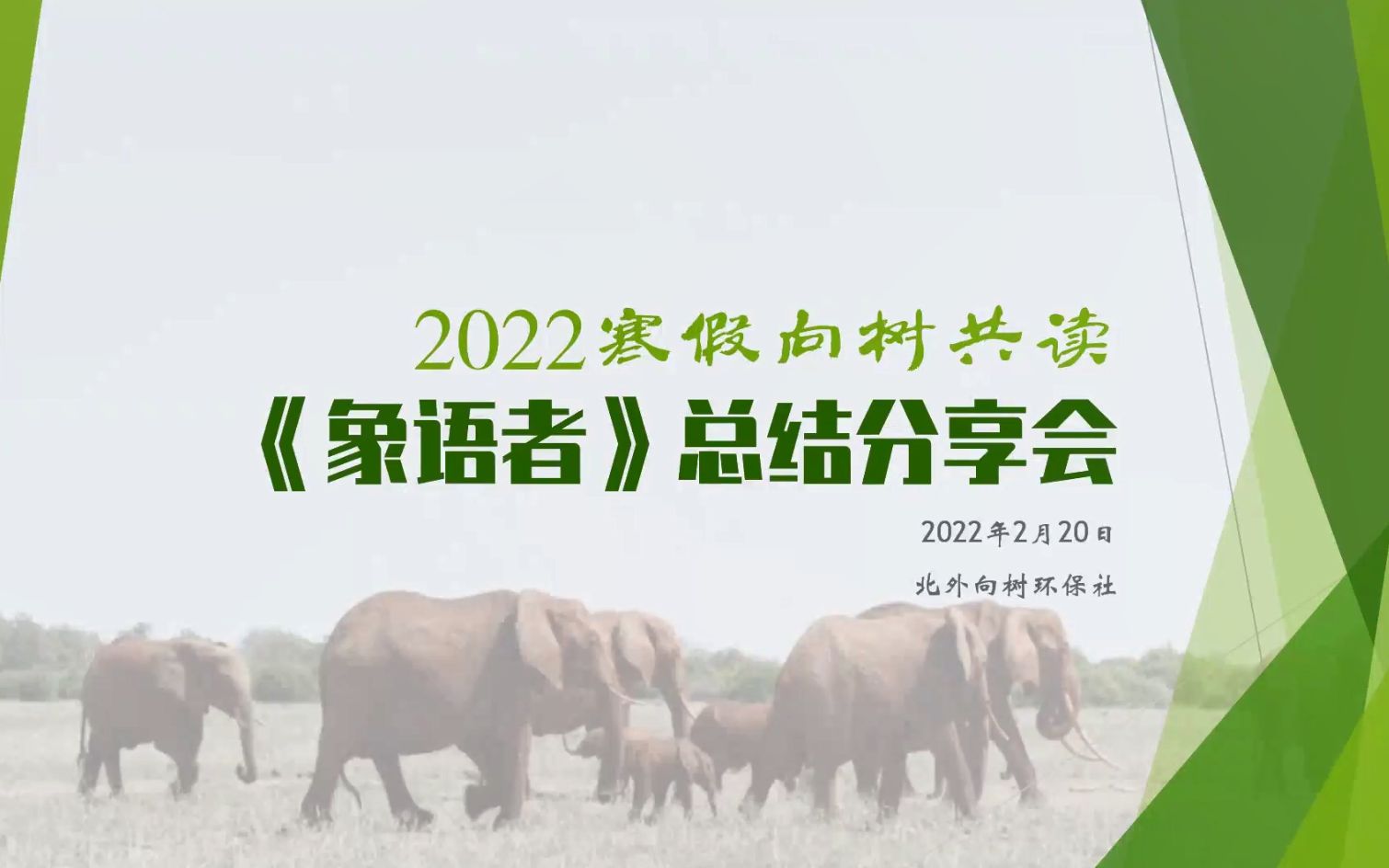 【活动回放】在差异与困厄中探索温柔的可能——2022寒假向树共读《象语者》总结分享会哔哩哔哩bilibili