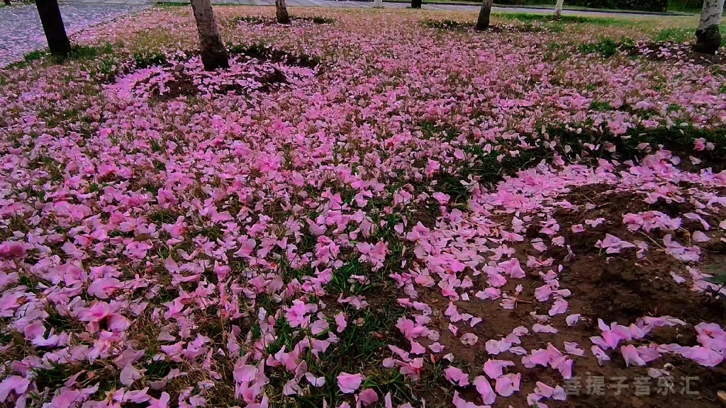 十二花神系列之《落微》,这如泣如诉的埙声可曾吹进你的心里哔哩哔哩bilibili