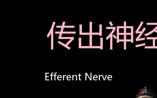 传出神经 Chinese Pronunciation Efferent nerve哔哩哔哩bilibili