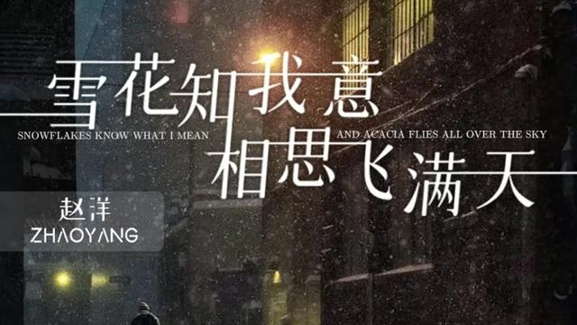 [图]#看见音乐计划 #雪花知我意相思飞满天DJ版 #歌手赵洋演唱 #每日推荐音乐 #点击左下角音乐小程序听更多好听歌曲