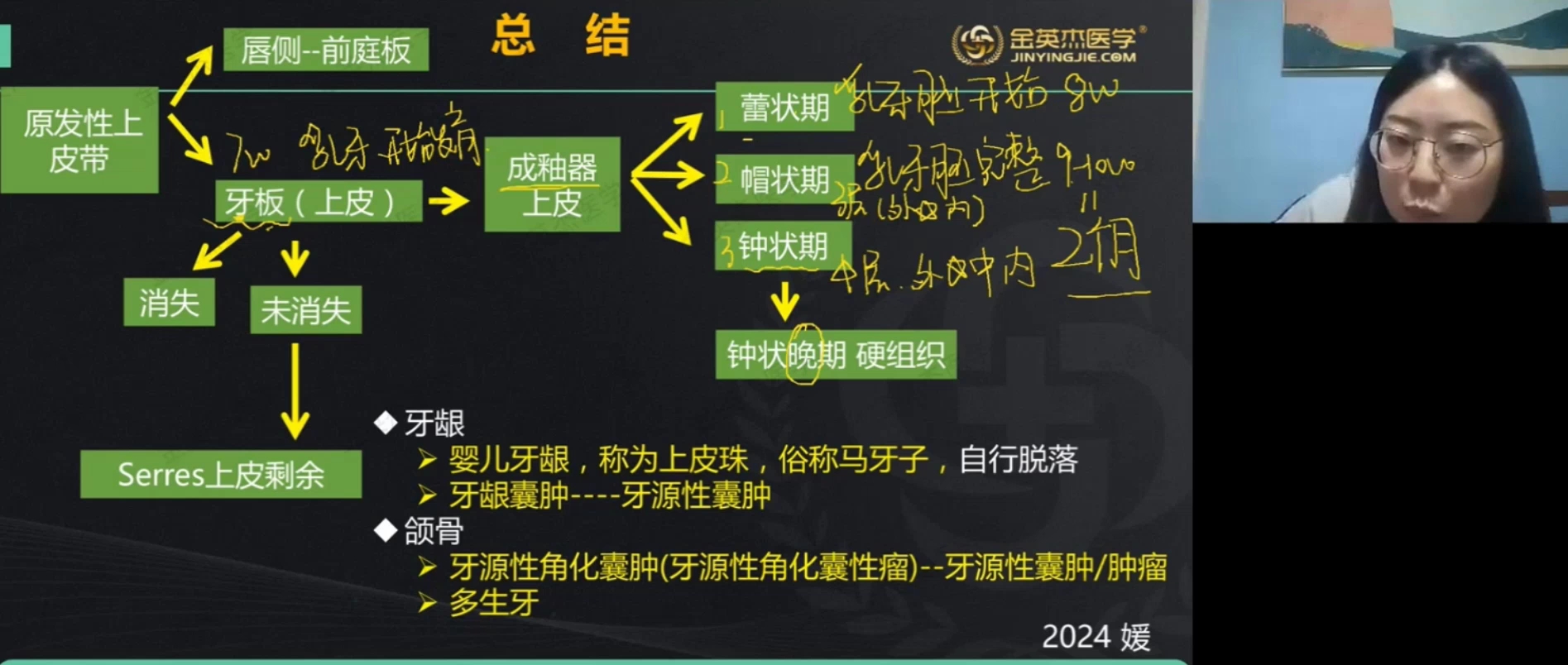 [图]24年口腔助理医师口腔组织学第一节