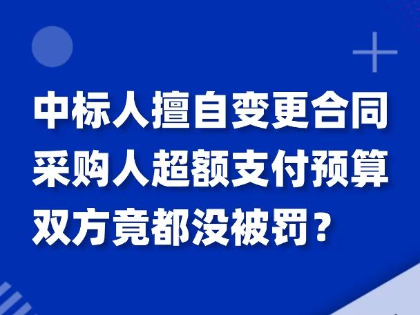 中标人擅自变更合同采购人超额支付预算双方竟都没被罚?哔哩哔哩bilibili