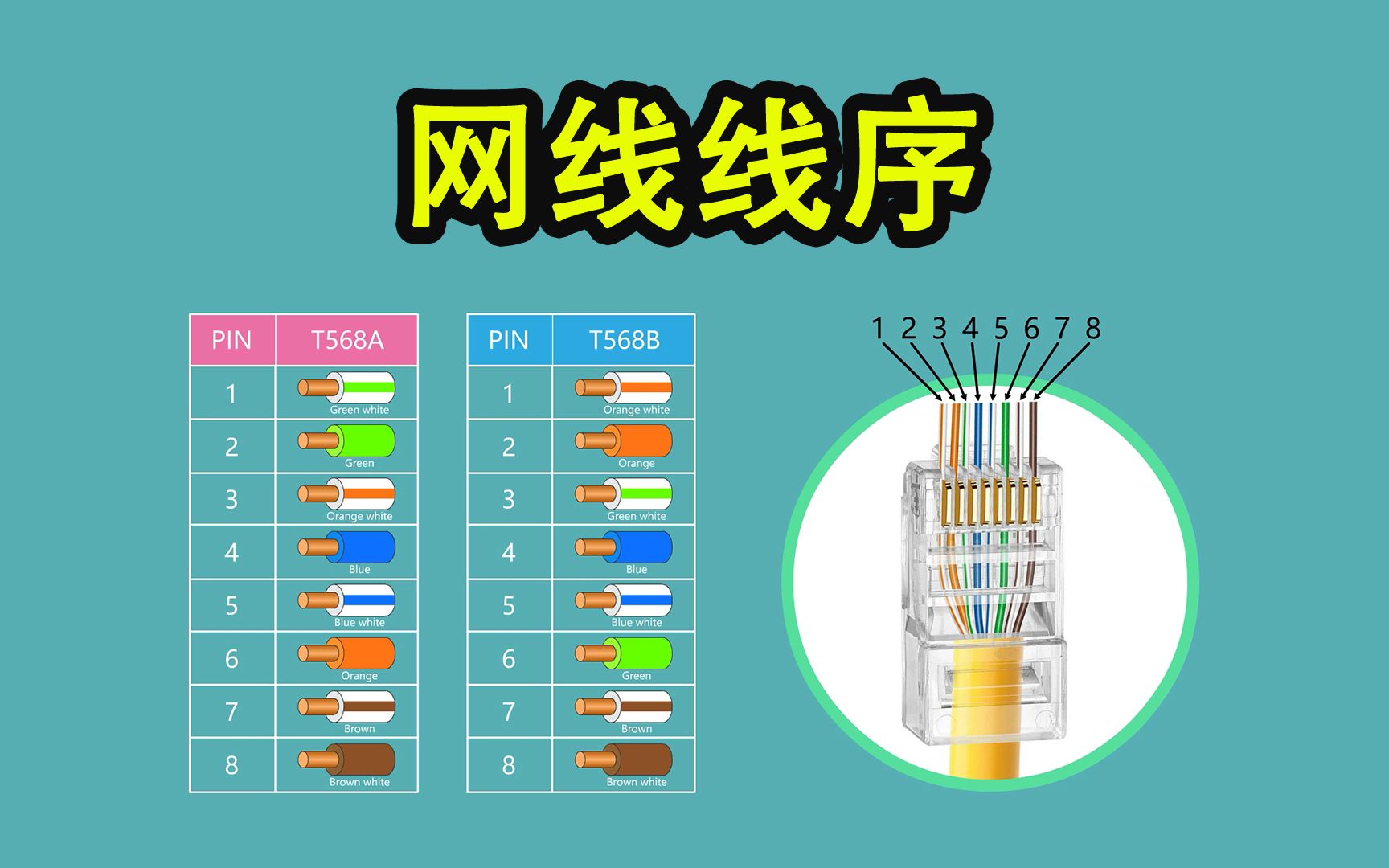 [图]《知之》022-T568A & T568B 直通线与交叉线，线序背后的知识-Neo