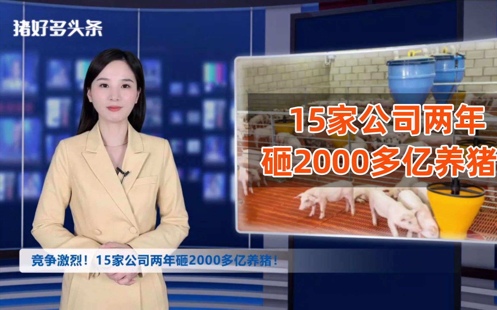 竞争激烈!15家猪企两年砸2000多亿养猪!局势依然不乐观!哔哩哔哩bilibili