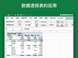 Download Video: Excel中数据透视表的应用