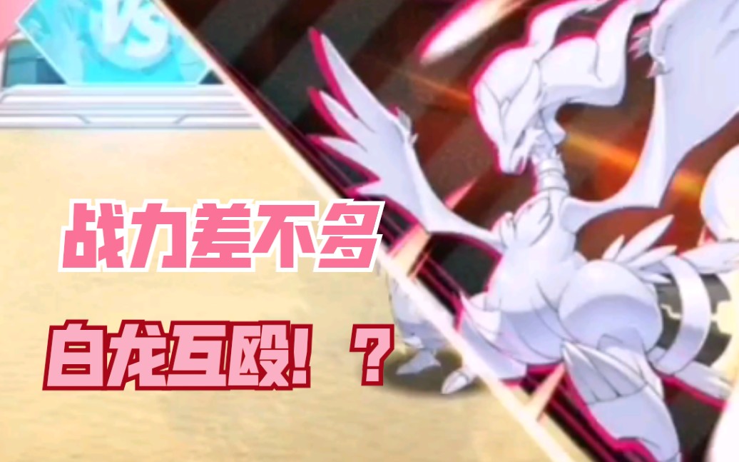 口袋觉醒#白龙#两只白龙对打视频 看简介