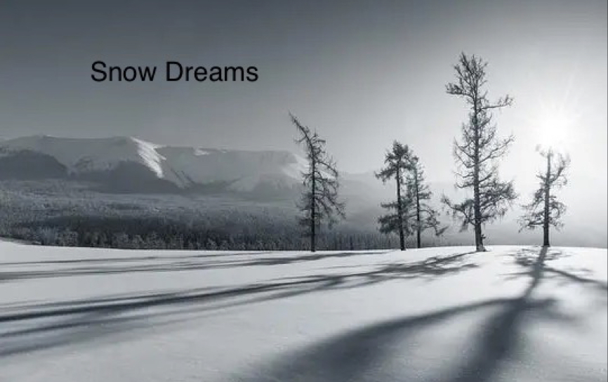 [图]Snow Dreams ｜班得瑞｜指弹