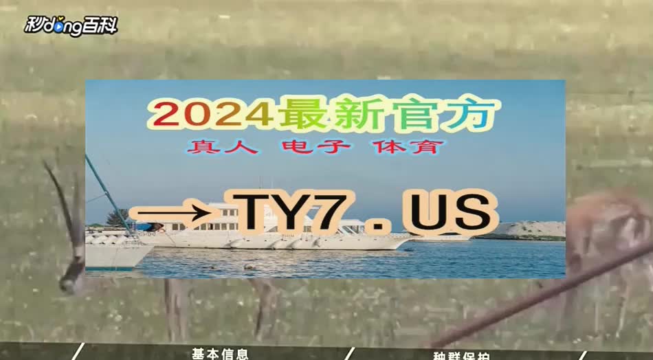 小胡官方解说:迈博体育投注官网