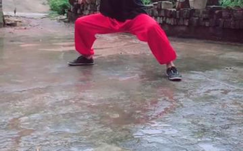 [图]南少林武术之龍拳