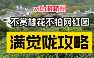 Download Video: 桂花开没开都可以走的杭州满觉陇小众徒步路线攻略！