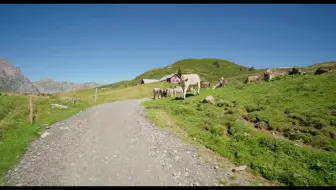 旅行时刻2:魅力旅行该有的样子第7928期